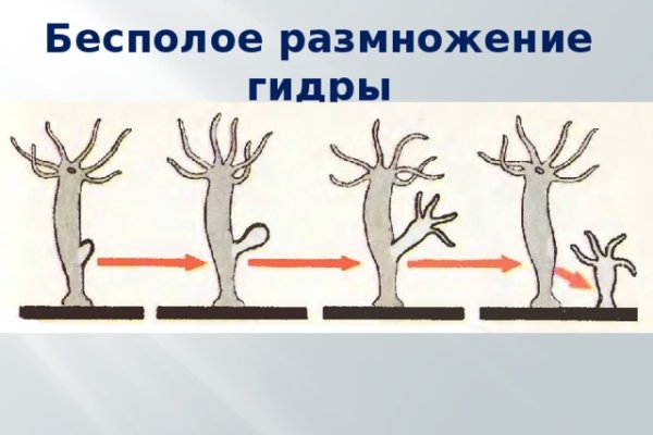 Ссылки на даркнет сайты