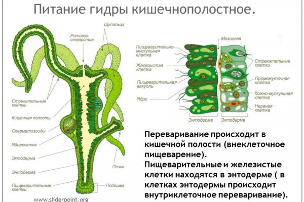 Kra45.cc Вход на сайт главная страница